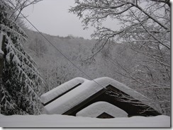 IMG_5597_R
