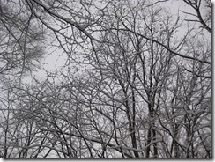 IMG_5598_R