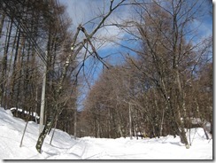 IMG_5724_R