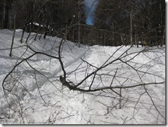 IMG_5726_R