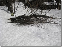 IMG_5728_R