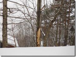 DSCF0443