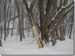 DSCF0444