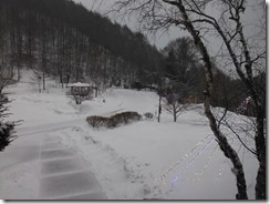 DSCF0445