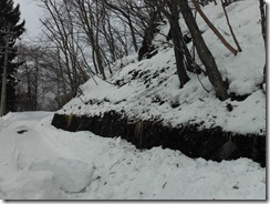DSCF0453