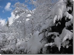 IMG_5757_R