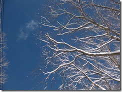 IMG_5791_R