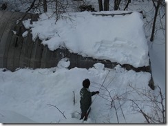 ビニールハウス雪下ろし