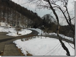DSCF0507