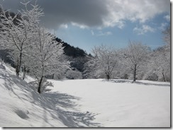 IMG_6087_R