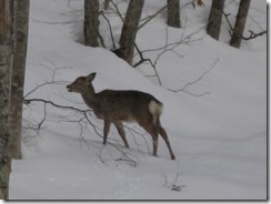 IMG_6190_R