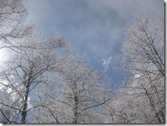 IMG_6265_R
