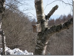 IMG_6277_R
