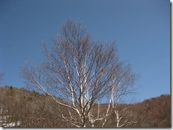 IMG_6278_R