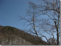 IMG_6279_R