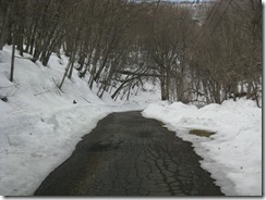 IMG_6499_R