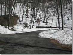 IMG_6502_R