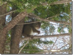 IMG_6538_R