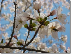 IMG_0069_R