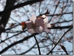 IMG_0076_R