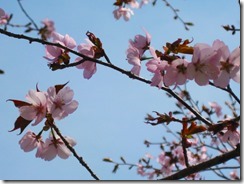 IMG_0078_R