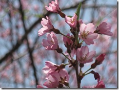 IMG_0088_R