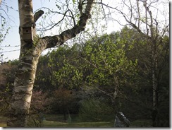 IMG_0106_R