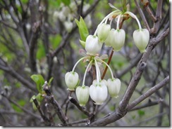 IMG_0148_R
