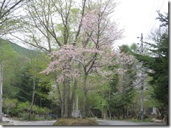 IMG_0153_R