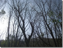 IMG_0169_R