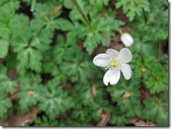 IMG_0228_R