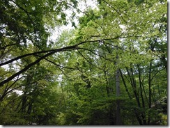 DSCF2064_R