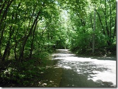 DSCF2066_R