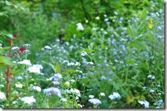 DSC_0031_R