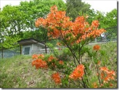 IMG_0354_R