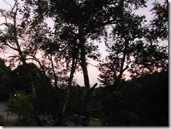 DSCF2165
