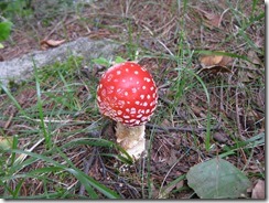 IMG_0282_R