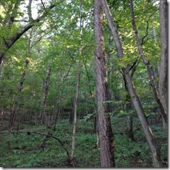 IMG_1060_R