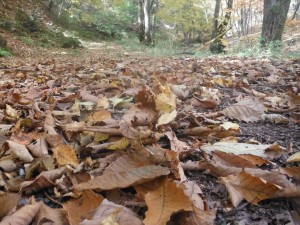 DSCF2376_R