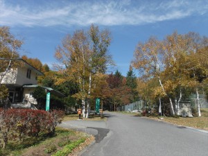 DSCF2397_R