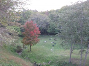 IMG_0436