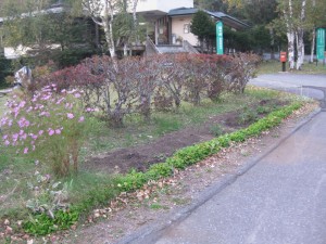 IMG_0440