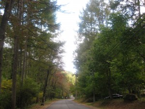 IMG_0485_R