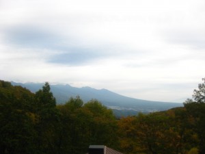 IMG_0504_R