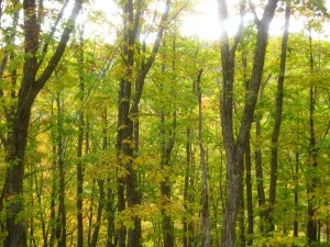 IMG_0505_R