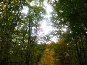 IMG_0507_R