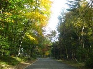 IMG_0509_R