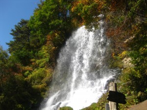 IMG_0525_R