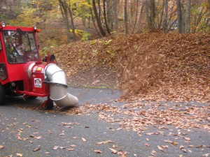 IMG_0542_R