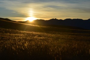 DSC_6477_R